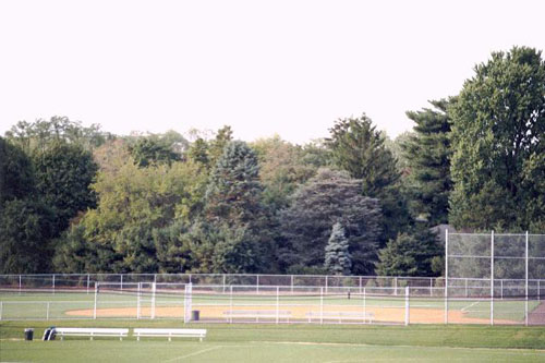 Softball Field